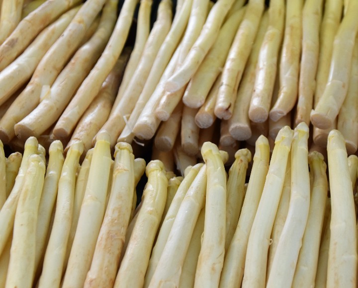asperges