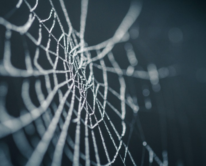 Halloween versiering spinnenweb
